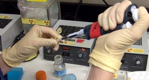 ¿Demasiados investigadores en España?