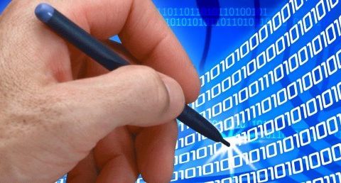 Un sector con posibilidades