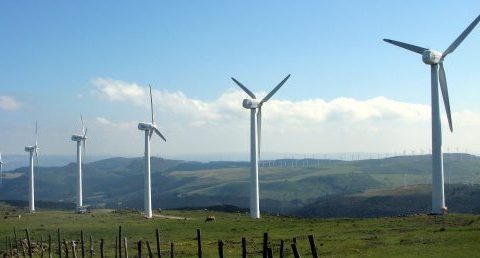 Un sector con energías renovadas