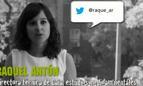 #trabajaenverde, ¿qué perfiles se demandan?