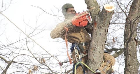 ¿Te gusta tu trabajo?