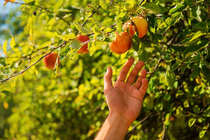 thinkstockphotos-491115926